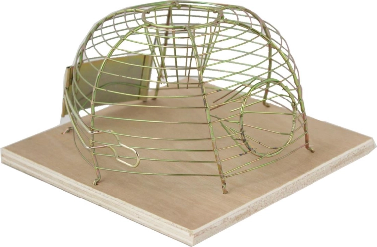 Živa past za miši 14 × 14 cm