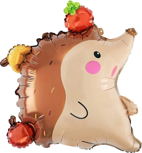 Foliasti balon ježek