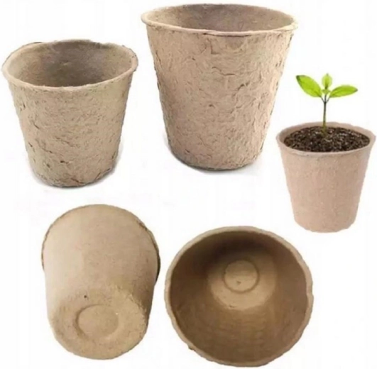 Zdrav koreninski sistem