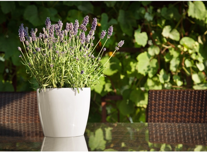 Primeren za notranjost in zunanjost