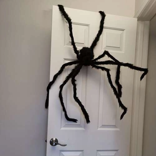 Upogljive noge z žičkami za enostavno aranžiranje