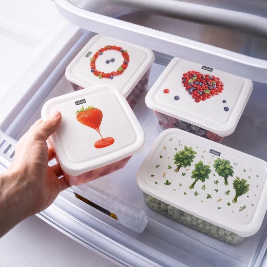 Translucent container with lid