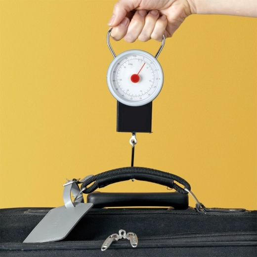 Hiter nadzor teže pred potovanjem