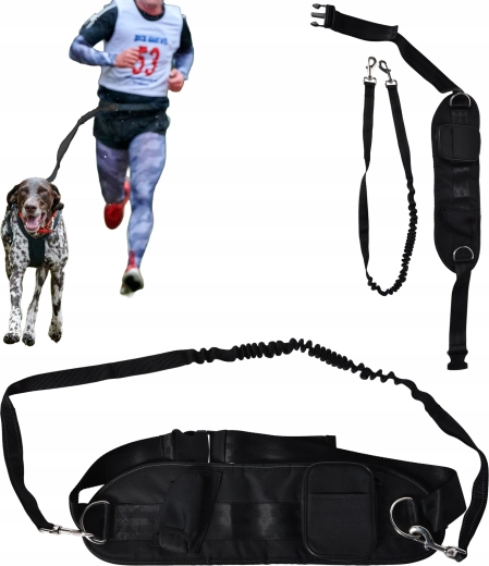 Tek in hoja s psom brez rok