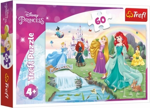 Sestavljanka 60 koščkov Spoznaj princeske DISNEY PRINCESS Trefl