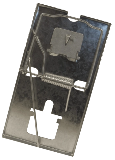 Kovinska past za podgane BROS