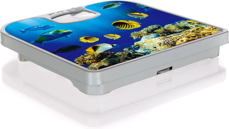 Stiliziran dekor podmorskega sveta