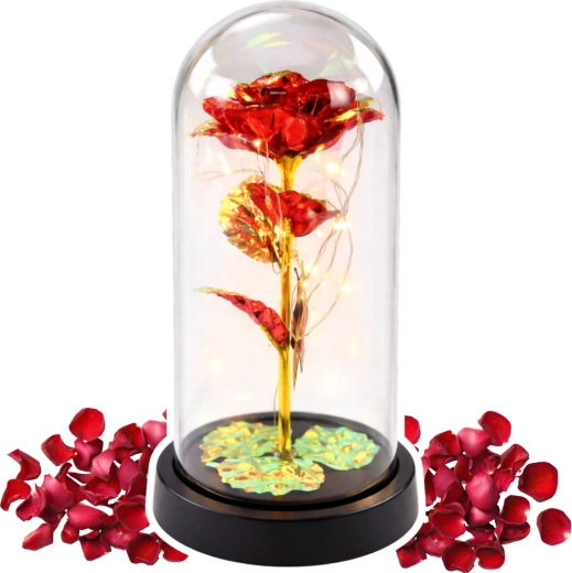 Eleganten zaščitni pokrov