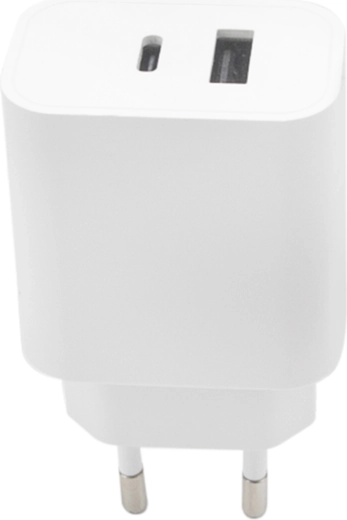 Dva porta za sočasno polnjenje