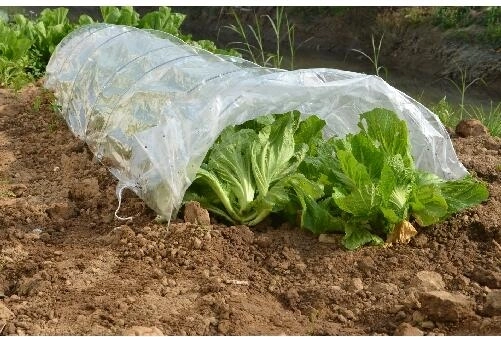 Vrtni folijarnik tunel 300 × 65 × 45 cm