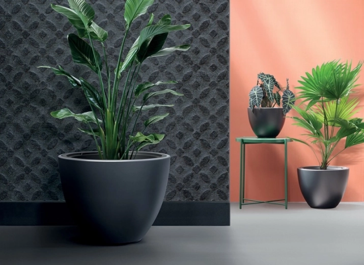 Modern videz z minimalizmom