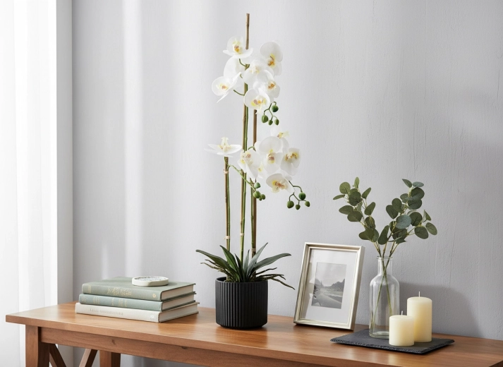 Idealna višina 77 cm