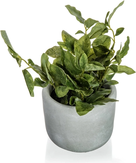 Realistična zelenjava brez skrbi