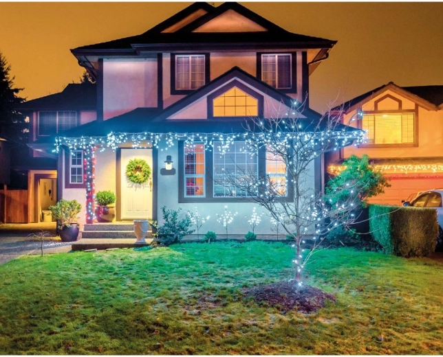 For indoor and outdoor decoration