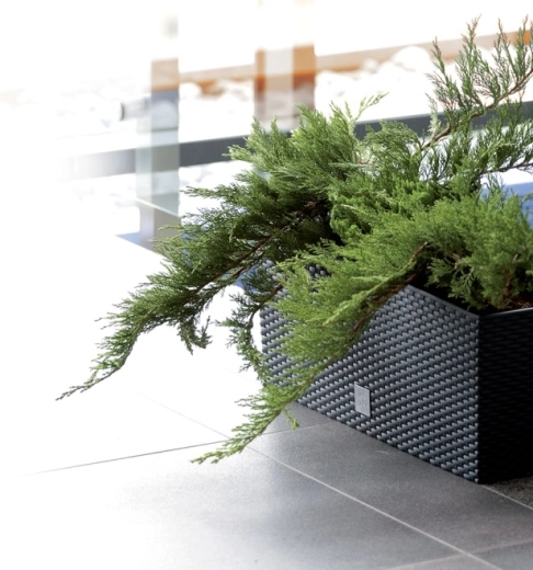 Odporna plastika in enostavno vzdrževanje