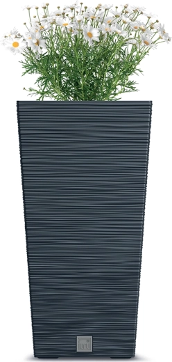 Eleganten dizajn in kompakten oblikovni format