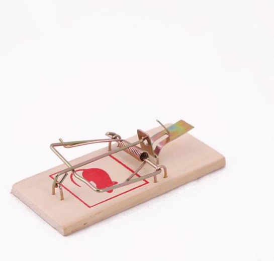 Lesena past za miši, set 3 kos