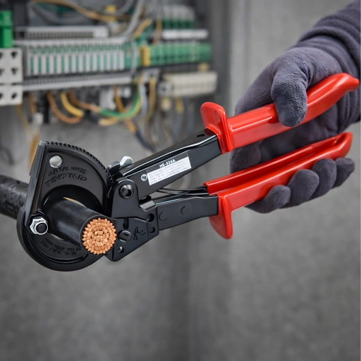 Ragljasti mehanizem za natančnost