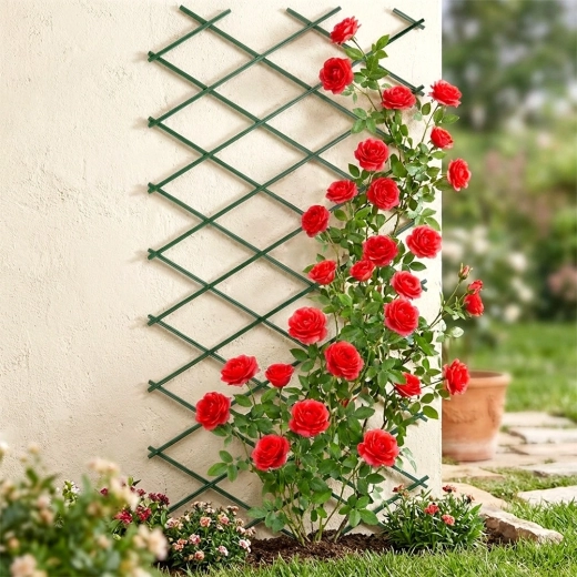 Elegantna opora za vrtnice in druge vzpenjavke