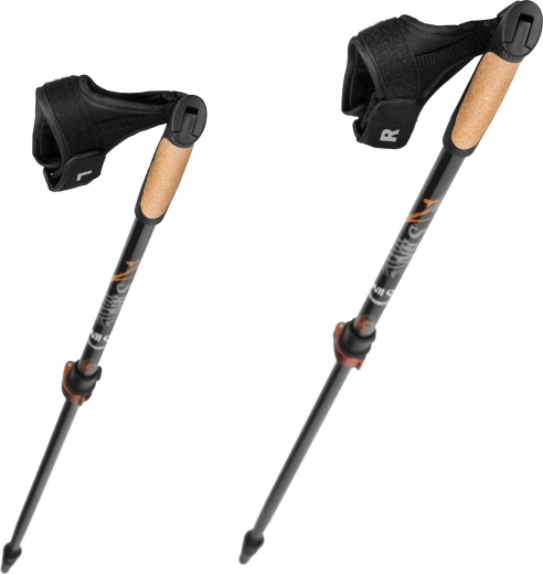 Lahka in toga konstrukcija s 50% ogljika