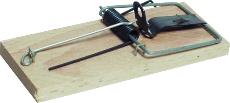 Klasična lesena past za miši iz bukovega lesa