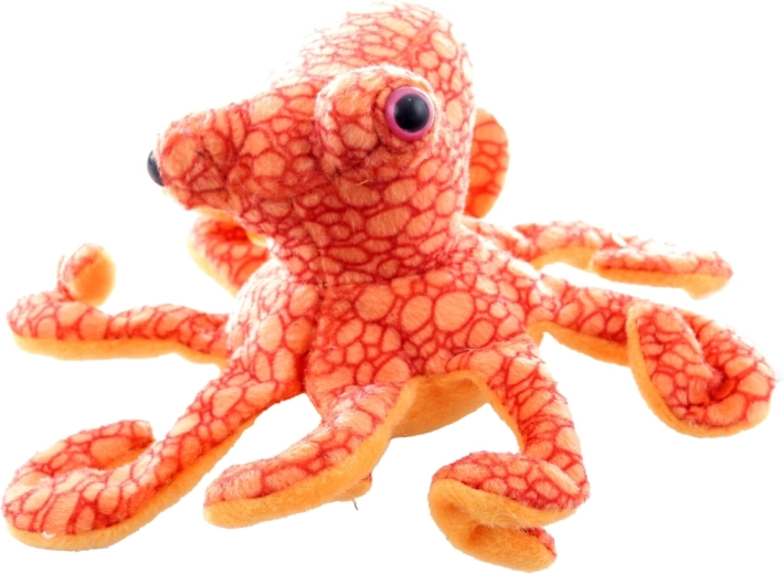 Varno od rojstva (0+)