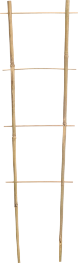 Dvojna bambusova opora za vzpenjavke 45 cm