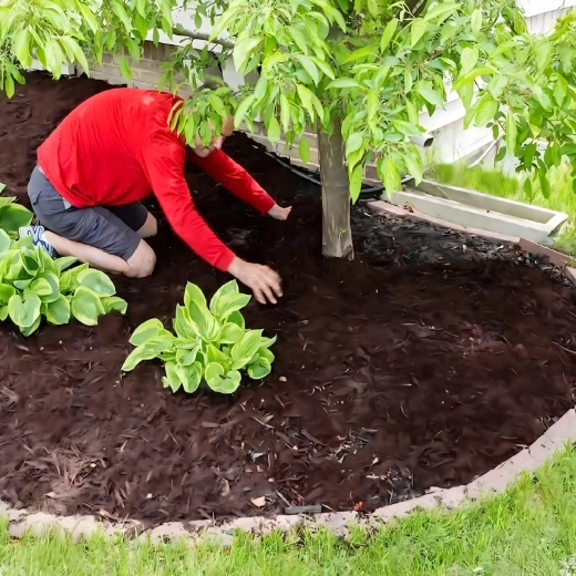 Vrtna tkanina proti plevelu 70 g/m², 1,1 × 50 m, črna, UV stabilizirana