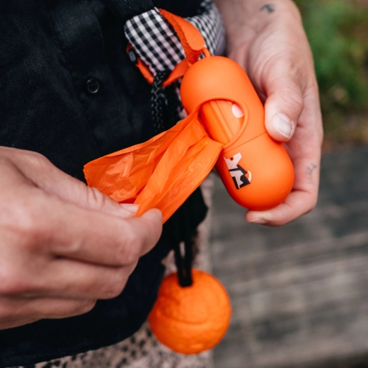 Praktična za sprehode