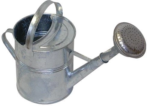 Vrtna pocinkana zalivalka 5 l z rožico