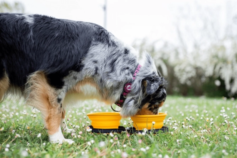 Hitra uporaba kjerkoli