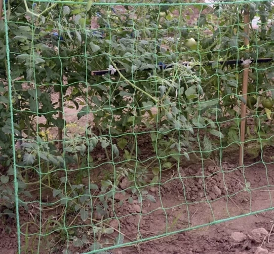 Easy installation and convenient harvesting
