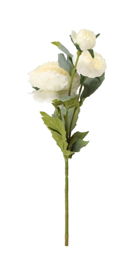 Idealna za vazo in aranžmaje