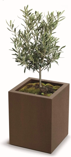 Zdrava rast rastlin zahvaljujoč odtočnim odprtinam