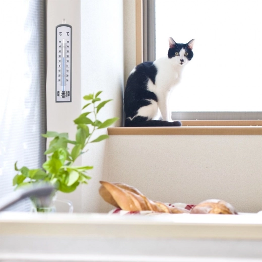 Eleganten leseni dizajn