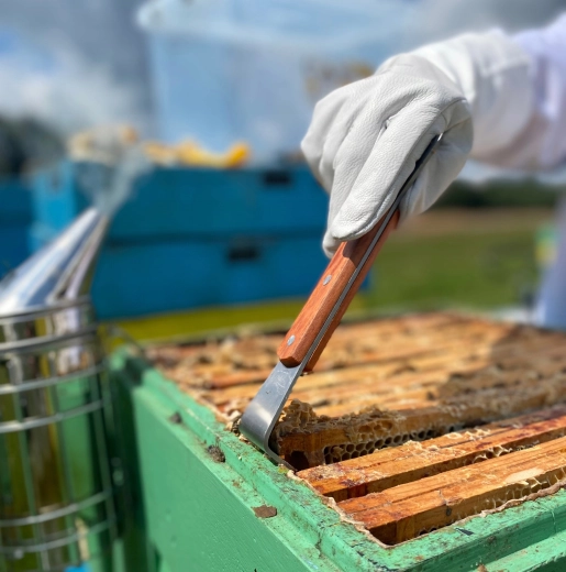 Enostavno vzvodno odpiranje in dvigovanje okvirjev