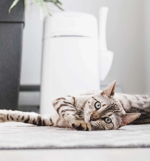 Praktični dodatki in prenašanje