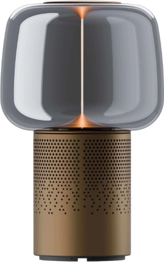 Light with adjustable ambience