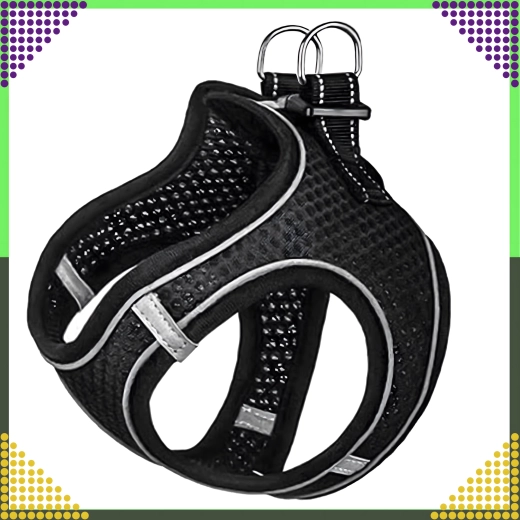 Varno pritrjevanje in nastavitev