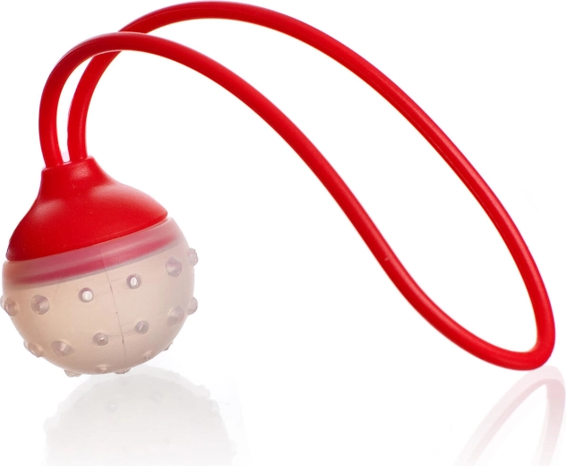 Silikonsko cedilo za čaj in začimbe CULINARIA, 5 × 22 cm, rdeče