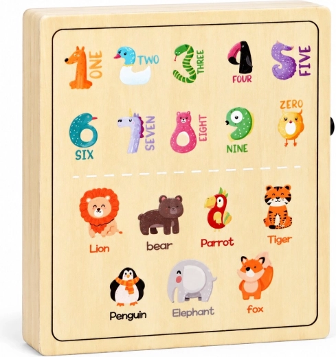 Numbers and animals on the back