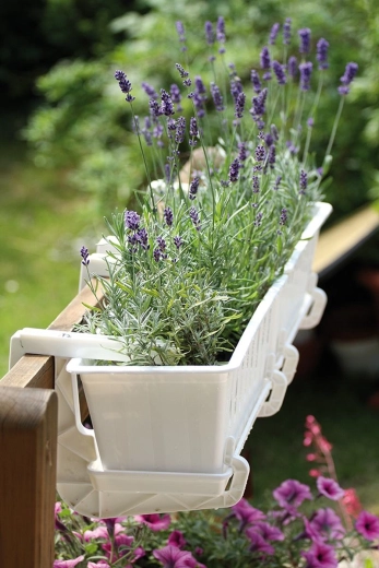 Varna pritrditev z nastavljivim vijakom