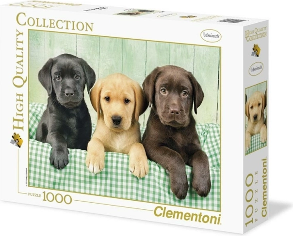 Puzzel 1000 delcev Trije Labradoodli