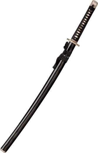 Eleganten lakiran lesen saya