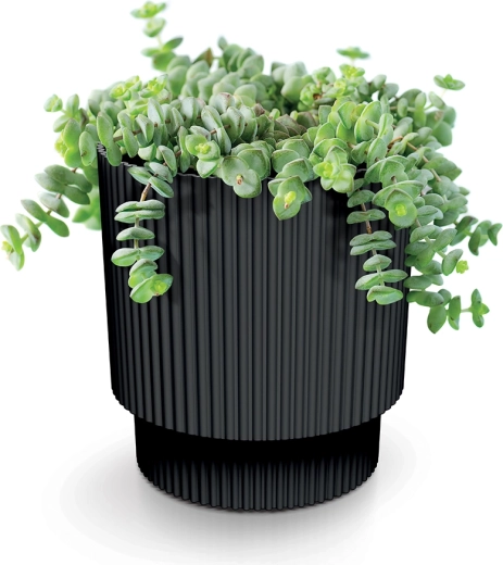 Podpora zdravemu rasti rastlin