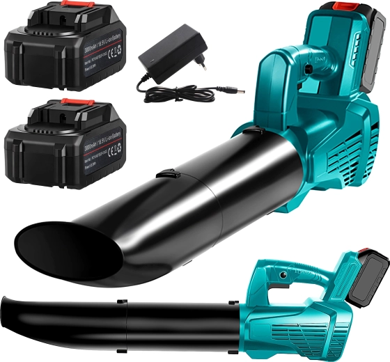 Dve bateriji in polnilec v paketu