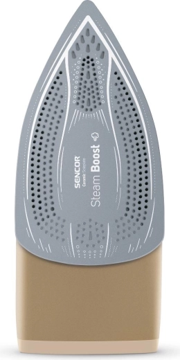 Ceramic soleplate