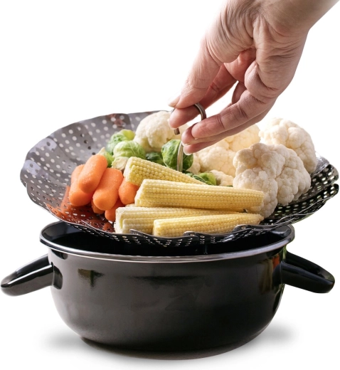 Healthy steam cooking