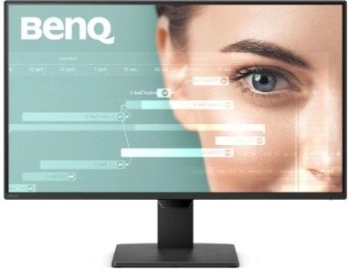 BenQ GW2490P 24-inch monitor