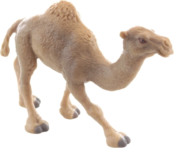 Odporna plastika in stabilen položaj